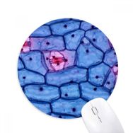 Dıythinker Plant Science Bioplast Mikrokozmik Desen Baskılı Yuvarlak Kaymaz Kauçuk Mouse Pad
