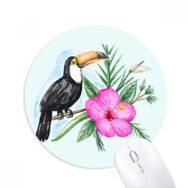 Dıythinker Ramphastos Toco Tropik Kuş Baskılı Yuvarlak Kaymaz Kauçuk Mouse Pad