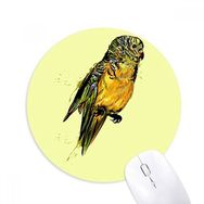 Dıythinker Sarı Budgie Papağan Kuş Baskılı Yuvarlak Kaymaz Kauçuk Mouse Pad