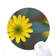 Dıythinker Sarı Çiçekler Yeşil Krizantem Baskılı Yuvarlak Kaymaz Kauçuk Mouse Pad