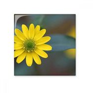 Dıythinker Sarı Çiçekler Yeşil Krizantem Seramik 10x10 cm Seramik Karo