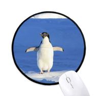 Dıythinker Sevimli Beyaz Penguen Bilim Doğa Resim Yuvarlak Kaymaz Mouse Pad