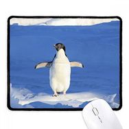 Dıythinker Sevimli Beyaz Penguen Bilim Doğa Resmi Kaymaz Siyah Başlıklı Kenarlar Mouse Pad