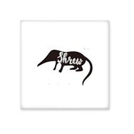 Dıythinker Shrews Siyah Beyaz Hayvan 15x15 cm Seramik Karo