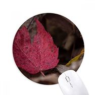 Dıythinker Simpol Kırmızı Akçaağaç Yaprağı Bitki Resmi Baskılı Yuvarlak Kaymaz Kauçuk Mouse Pad