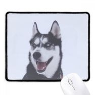 Dıythinker Siyah Big Dog Snow Husky Resim Kaymaz Fare Altlığı