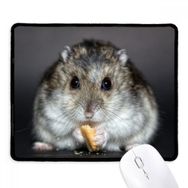 Dıythinker Siyah Hamster Hayvan Sıçan Evcil Hayvan Sevimli Yemek Kaymaz Fare Altlığı