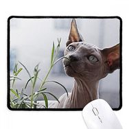 Dıythinker Siyah Hayvan Gri İnce Kedi Fotoğrafı Kaymaz Fare Altlığı