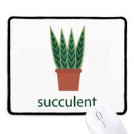 Dıythinker Siyah Kaktüs Saksı Bitki Succulents Yeşil Kaymaz Fare Altlığı