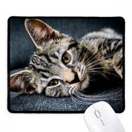 Dıythinker Siyah Kedi Çizgili Kedi Hayvan Rahatlama Sevimli Kaymaz Fare Altlığı