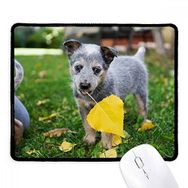 Dıythinker Siyah Yakışıklı Yavru Köpek Evcil Hayvan Fotoğrafçılığı Resim Kaymaz Fare Altlığı