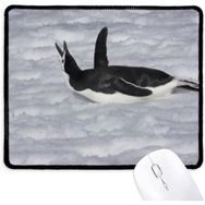 Dıythinker Su Siyah Antarktik Penguen Resim Kaymaz Mouse Pad
