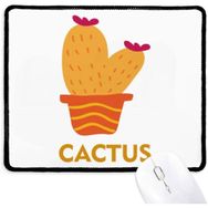 Dıythinker Turuncu Kaktüs Saksı Bitki Succulents Kaymaz Mouse Pad