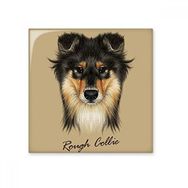 Dıythinker Uzun Saçlı Kaba Collie Evcil Hayvan Hayvan 15x15 cm Seramik Karo