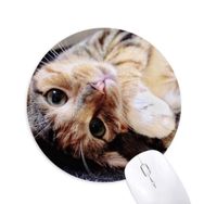 Dıythinker Yuvarlak Çizgili Kitty Cat Relax Hayvan Sevimli Kaymaz Kauçuk Fare Altlığı