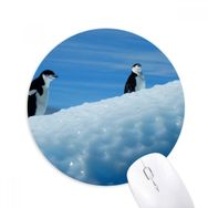 Dıythinker Yuvarlak İki Antarktik Penguenler Bilim Doğa Resim Kaymaz Kauçuk Fare Altlığı