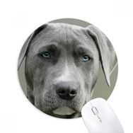 Dıythinker Yuvarlak Yakışıklı Köpek Hayvan Resmi Kaymaz Kauçuk Fare Altlığı
