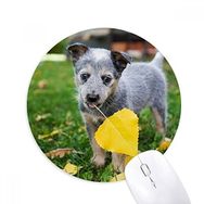 Dıythinker Yuvarlak Yakışıklı Yavru Köpek Evcil Hayvan Fotoğrafçılığı Resim Kaymaz Kauçuk Fare Altlığı