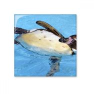 Dıythinker Yüzme Antarktik Penguen Bilim Doğa Resim 15x15 cm Seramik Karo