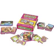 Diytoy 1185 Flash Cards Hayvanlar