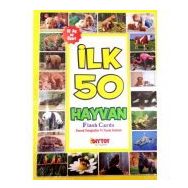 Diytoy İlk 50 Sözcük ilk 50 Hayvan ve ilk 50 Meyve Sebze 3'lü Flash Kart Seti
