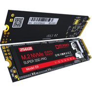 DM E9 256GB PCI-E Gen3x4 M.2 NVMe 1600 MB/sn Okuma 1300 MB/sn Yazma SSD