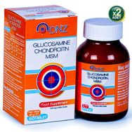 DNZ Glucosamine Chondroitin MSM 2x60 Tablet