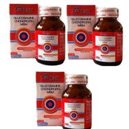 DNZ Glucosamine Chondroitin MSM 3x90 Tablet