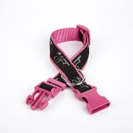 Doggie 3 cm x 36-60 cm Mor Köpek Desenli Dokuma Köpek Boyun Tasması