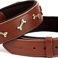 Doggie Comfort Deri Kemik Süslü 3.5x47-55 cm Medium Kahverengi Köpek Boyun Tasması