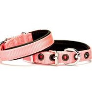 Doggie Comfort DSBT-2510M Sade Köpek Boyun Tasması