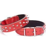 Doggie Comfort Kırmızı 4x52-60 cm Medium Deri Çivili Köpek Boyun Tasması