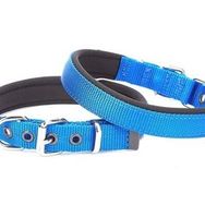 Doggie Comfort Mavi 1.5x25-30 cm Medium Dokuma Köpek Boyun Tasması