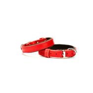 Doggie Comfort Sade Kırmızı 1.5x30 cm Köpek Tasması