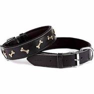 Doggie Comfort Siyah 4x47-55 cm Small Deri Kemik Süslü Köpek Boyun Tasması
