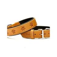 Doggie Deri 60 cm Large Köpek Boyun Tasması