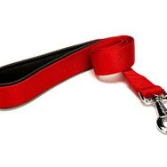 Doggie DGZT-30-K 3x60 cm Comfort Köpek Gezdirme Kayışı