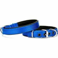 Doggie DSBT-2010S-MV 2x40 cm Mavi Softlu Köpek Boyun Tasması