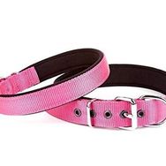 Doggie DSBT 2510 L Dokuma Softlu Mor Köpek Boyun Tasması