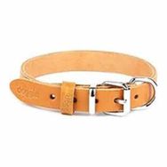 Doggie DSBT-3010M-TRNC 3x55 cm Turuncu Softlu Köpek Boyun Tasması