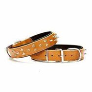 Doggie El Yapımı Çivili Kamel 5x55-65 cm Köpek Boyun Tasması