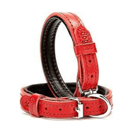 Doggie Konfor Deri Kırmızı 1.5x25- 30 cm Köpek Boyun Tasması