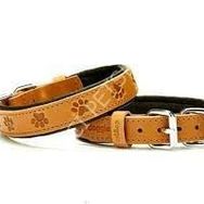 Doggie Konfor Deri Pati Desenli Camel 2x35-40 cm Boyun Tasması