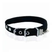 Doggie Konfor Dokuma Siyah 2,5x37- 45 cm Boyun Tasması