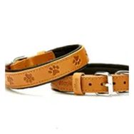 Doggie Konfor Dokuma Turuncu 2x35-40 cm Boyun Tasması