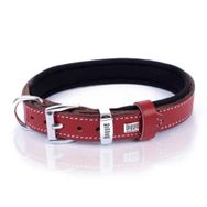 Doggie Konfor Kırmızı Kemik Desenli Deri 2x30-35 cm Köpek Boyun Tasması