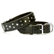 Doggie Konforlu El Yapımı Kemik Süslü Siyah 3.5x52-60 cm Köpek Boyun Tasması