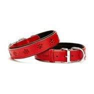 Doggie Medium Kırmızı 3X42-50 cm Comfort Deri Pati Desenli Köpek Boyun Tasması