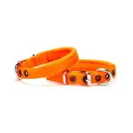 Doggie PDBT-2510 Turuncu Polar Softlu Dokuma Köpek Boyun Tasması