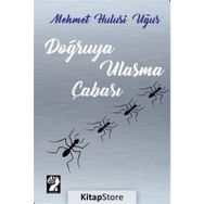 Doğruya Ulaşma Çabası - Mehmet Hulusi Uğur
